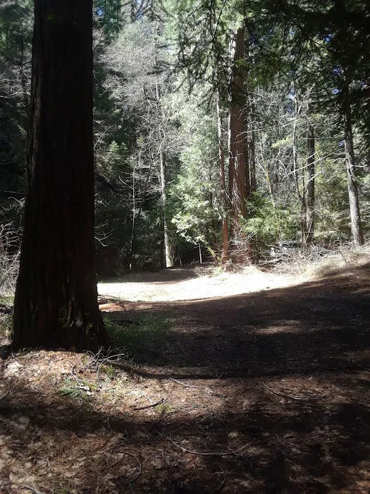 North Fork Beegum Creek Fcg 7