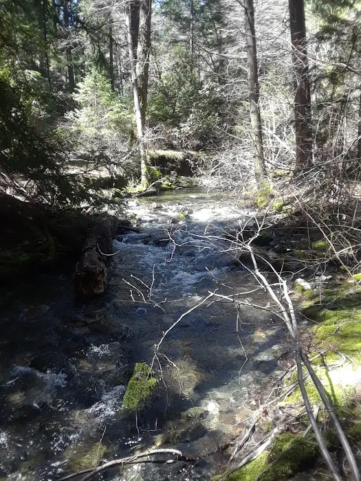 North Fork Beegum Creek Fcg 9