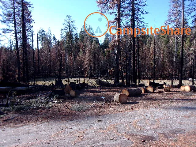 Three Prong Campground 1