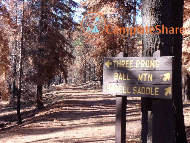 Three Prong Campground 2