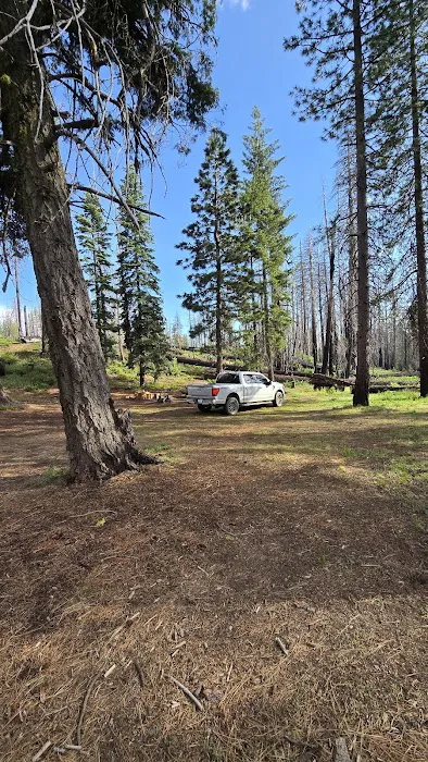 Three Prong Campground 6