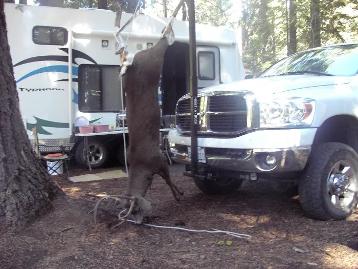 Three Prong Campground 3