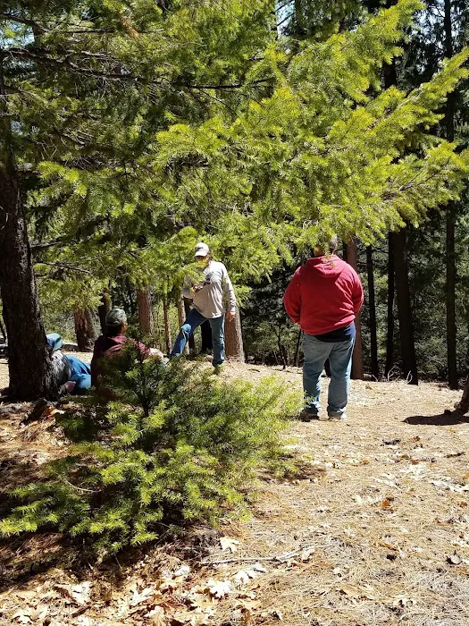 Whitlock Campground 2