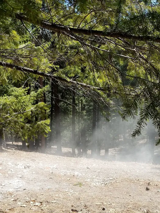 Whitlock Campground 4