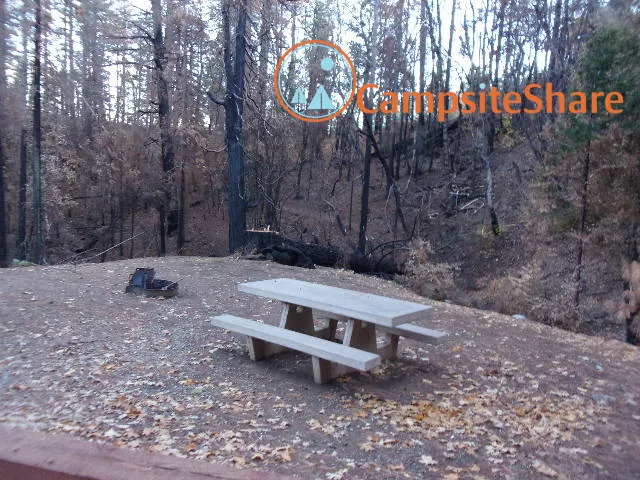 Whitlock Campground 6