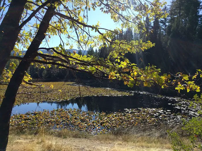 Hammerhorn Campground 2
