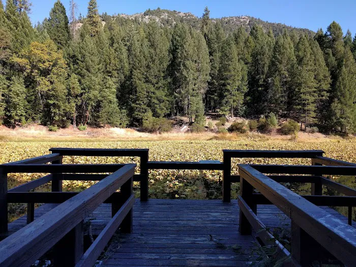 Hammerhorn Campground 1