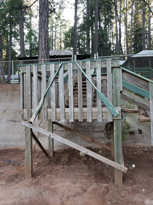 PSEA Camp DeSabla 6