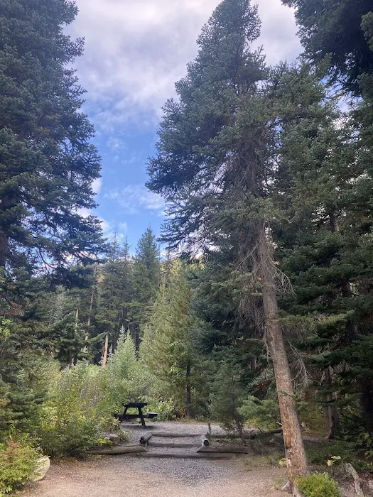 Lone Fir Campground 0