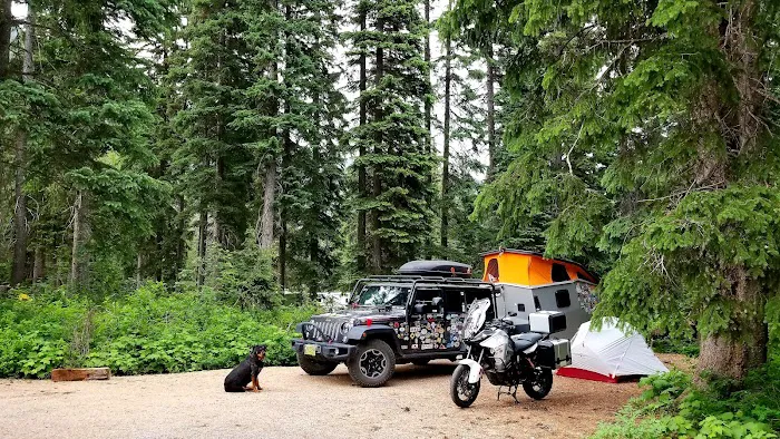 Lone Fir Campground 4