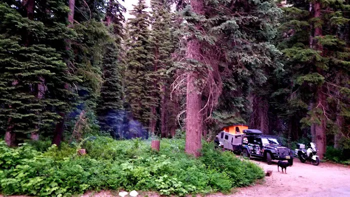 Lone Fir Campground 6