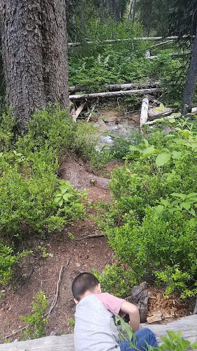 Lone Fir Campground 7