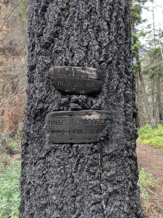 South Creek Campground 1
