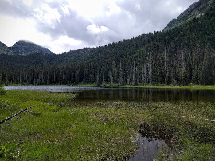 Dagger Lake Campground 7