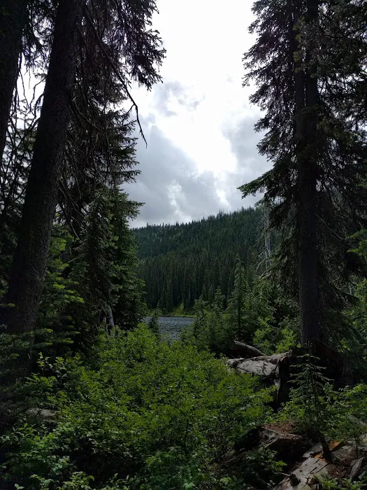 Dagger Lake Campground 8