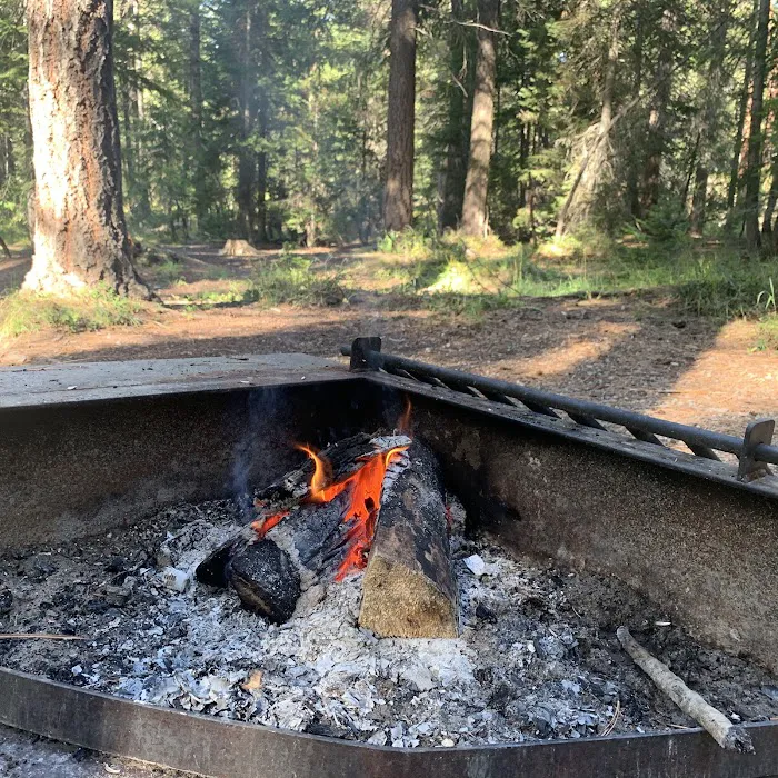 Poplar Flat Campground USA 5