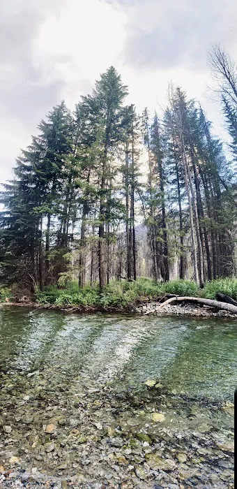 Poplar Flat Campground USA 3