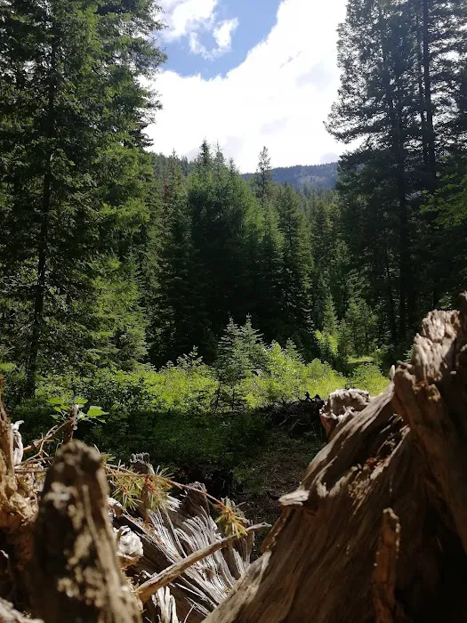 Poplar Flat Campground USA 1