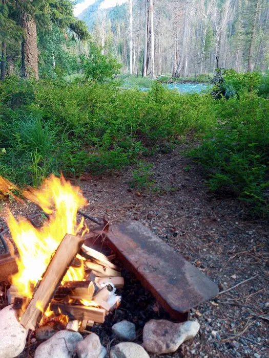 Poplar Flat Campground USA 6