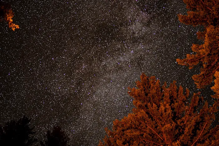 Poplar Flat Campground USA 7