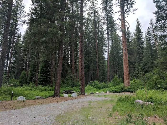 Ruffed Grouse Campground 2