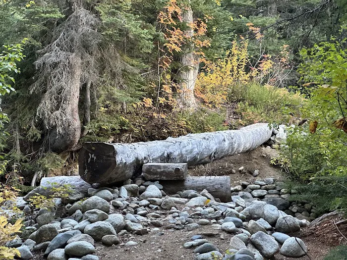 Fireweed Campground 1