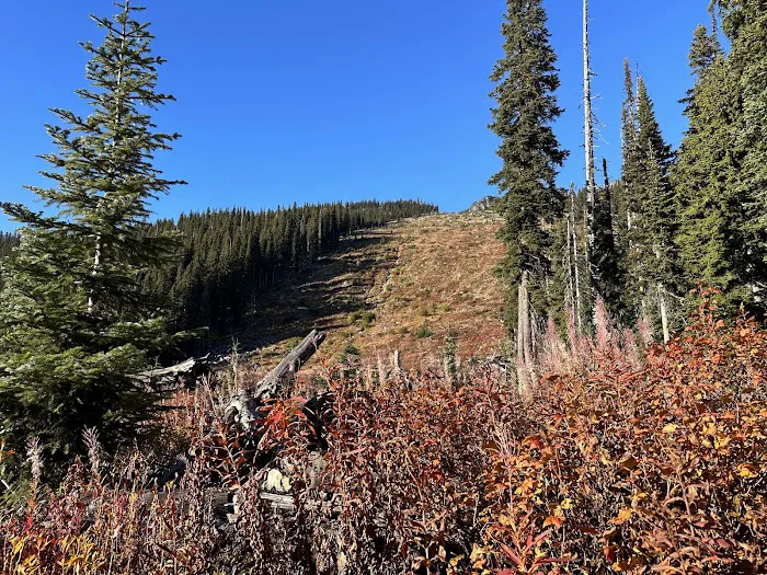 Fireweed Campground 2