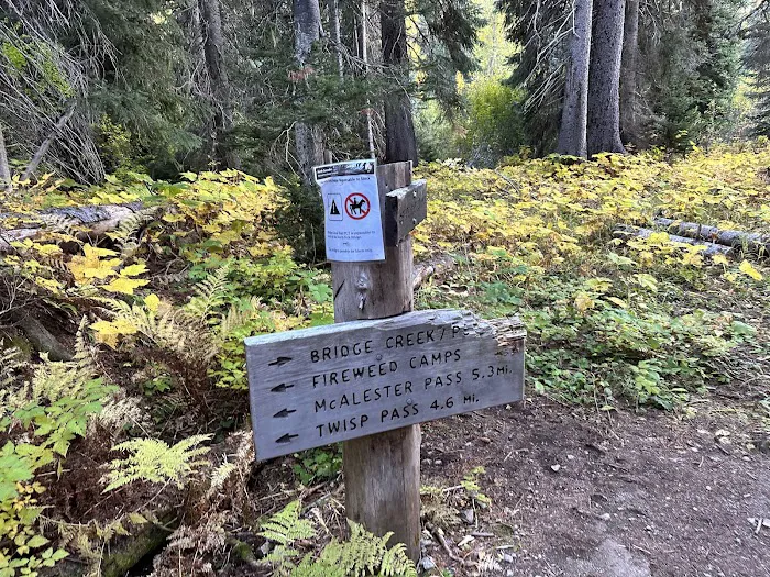 Fireweed Campground 0