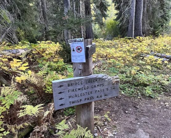 Fireweed Campground
