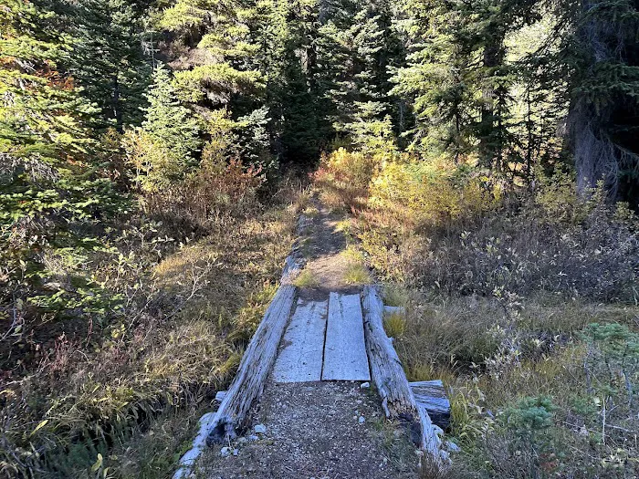 Fireweed Campground 5