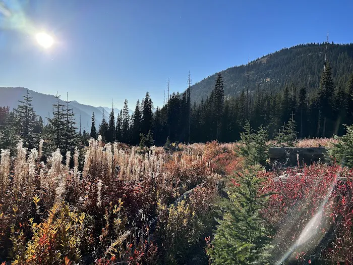 Fireweed Campground 3