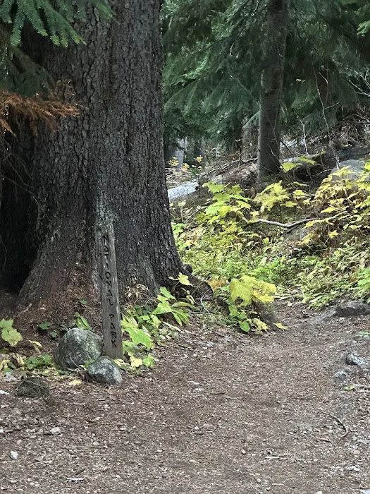 Fireweed Campground 9