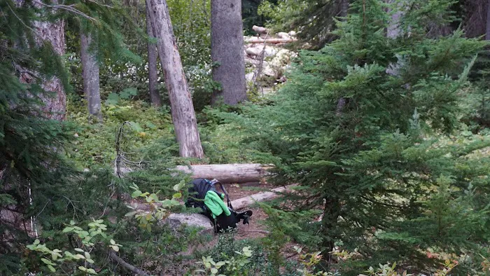 Fireweed Campground 7