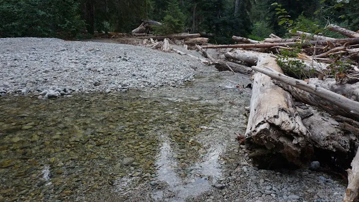 Fireweed Campground 8