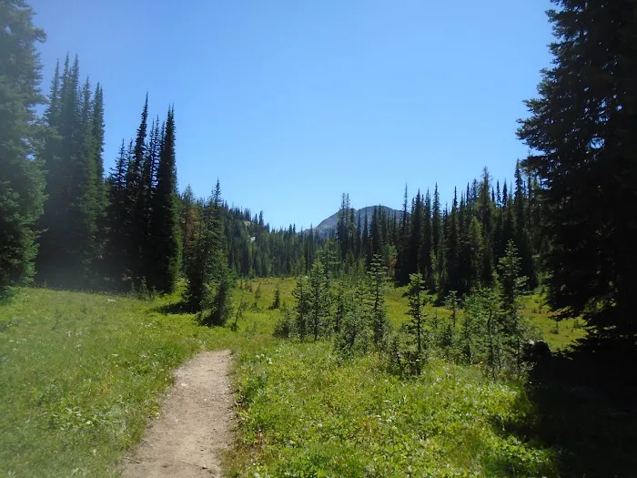 Hidden Meadows Campground 4