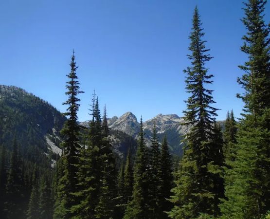 Hidden Meadows Campground