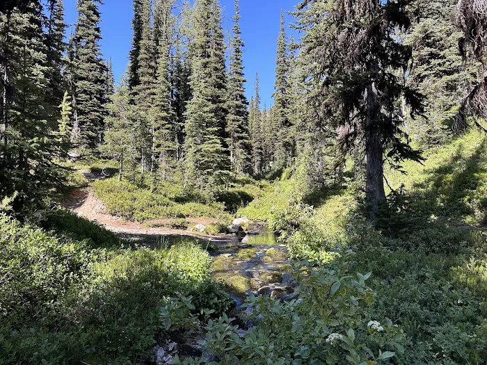 Hidden Meadows Campground 2