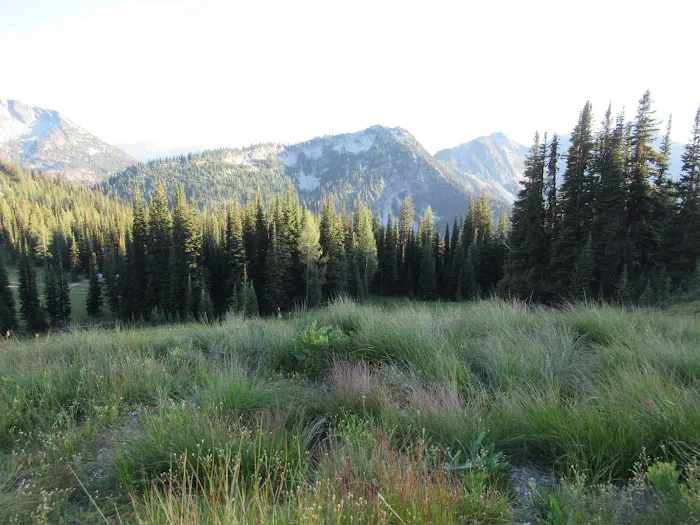 Hidden Meadows Campground 6