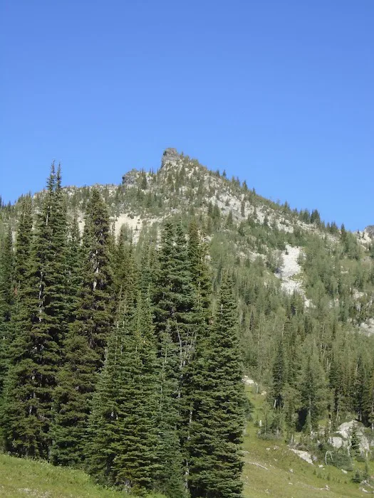 Hidden Meadows Campground 7