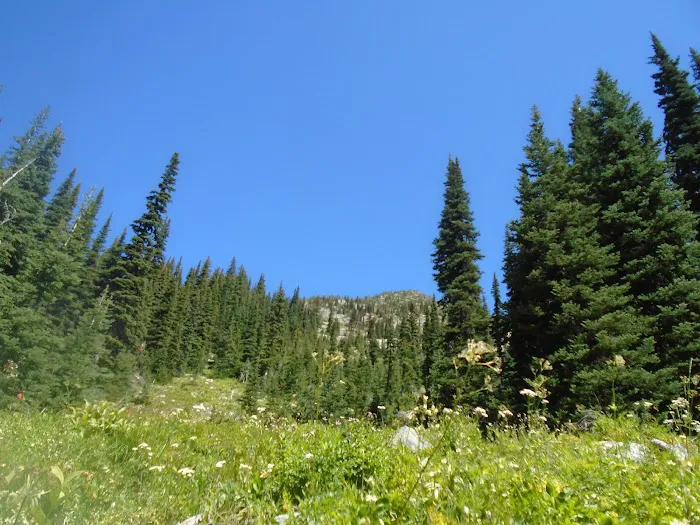 Hidden Meadows Campground 9