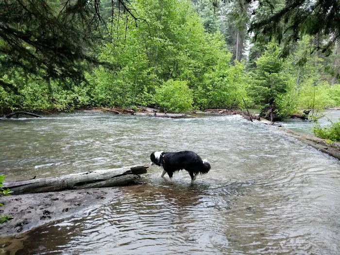 Honeymoon Campground 6