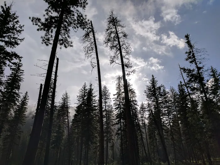 Honeymoon Campground 5