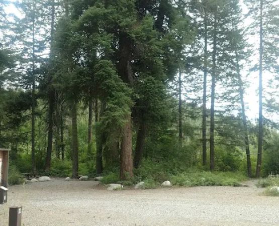 Buck Lake Campground