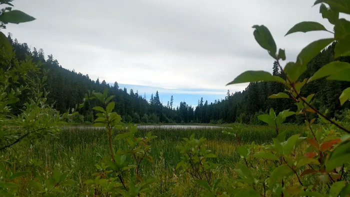Buck Lake Campground 7