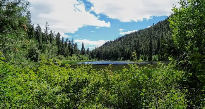 Buck Lake Campground 9