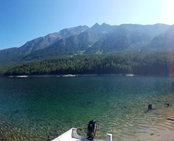 Cougar Island Campground
