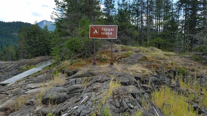 Cougar Island Campground 4