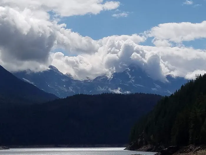 Cougar Island Campground 6