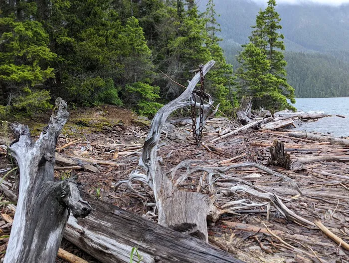 Roland Point Campground 0