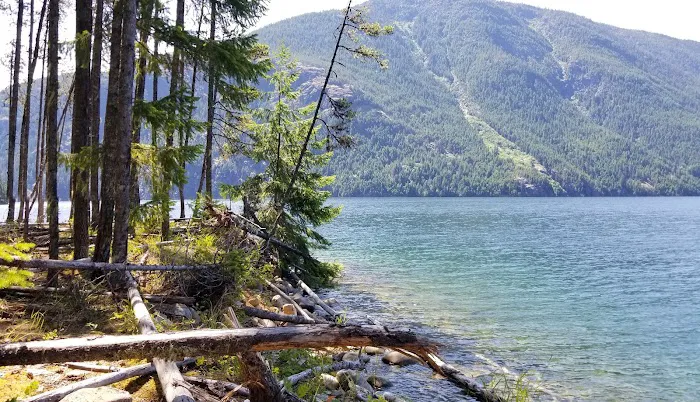 Lodgepole Campground 4